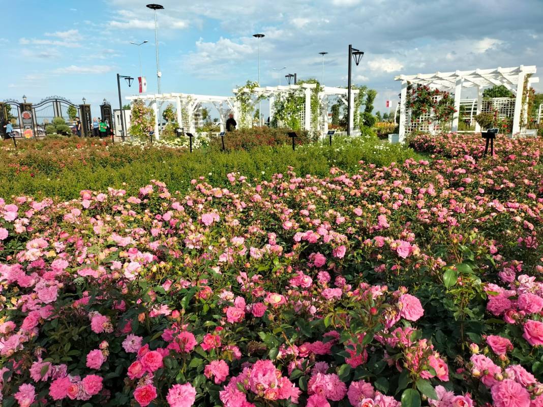 Konya Karatay Gül Bahçesi 2025 sezonunu açtı! Nerede, nasıl gidilir, ne zaman açık, ücretli mi? 12